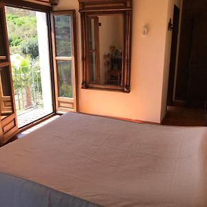 Habitación con Cama King